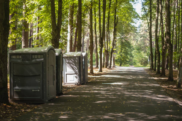 Best Local porta potty services  in Capitol View, SC